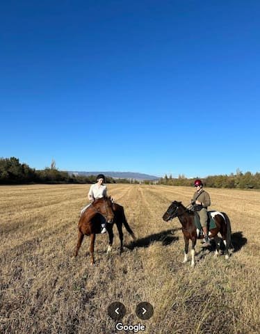 Horse Riding Club Black Horse near Sky Cabins Ranch
